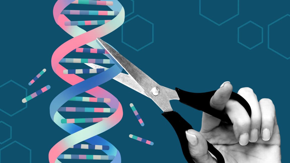 AlphaFold permet de réduire les effets hors cible des protéines d'édition génétique